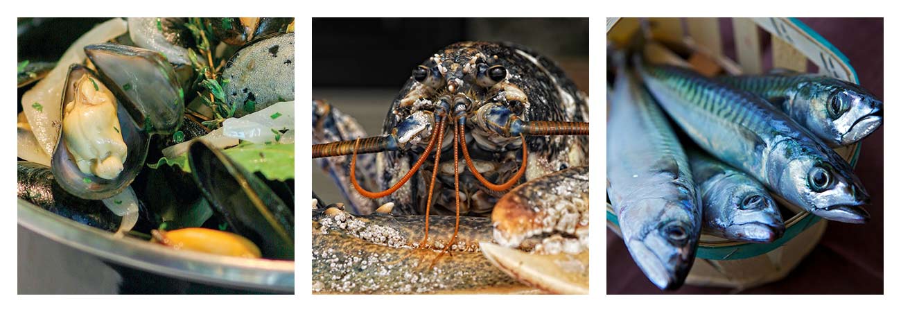 Produits locaux de la mer